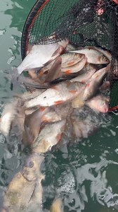 GREAT Day❤️🎣 | Catch More Media