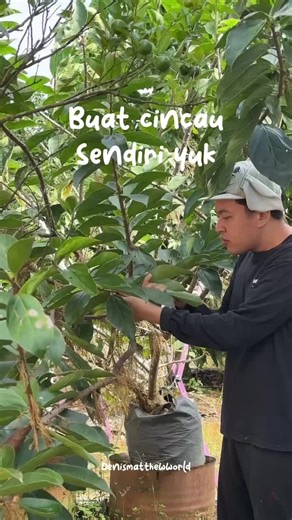 Nyincaukah kita hari ini?? | Slime Mixing