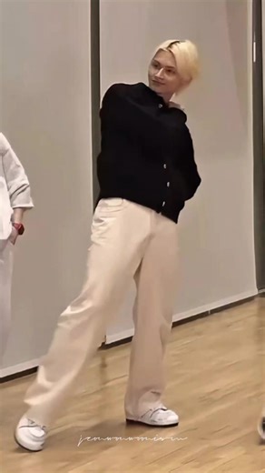 Nobody's Better: Jun Fan Cam Highlights with Seventeen