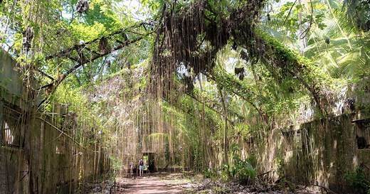 Les îles du Salut en Guyane, de l'enfer du bagne au paradis tropical