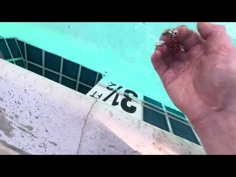 Fast Chaotic Pool Tile and Concrete Scratching Asmr (no talking)