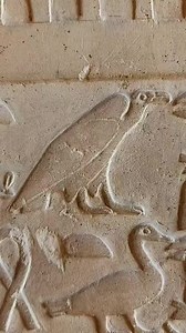 Nekhbet, the vulture goddess of Upper Egypt, symbolized protection, sovereignty, and divine authority. She was depicted as a vulture or eagle, often shown spreading her wings over the pharaoh as his guardian. Paired with Wadjet, the cobra goddess of Lower Egypt, she represented the unity of Egypt. Nekhbet appeared on royal crowns, temple walls, and King Tutankhamun’s mask, ensuring the king’s protection in life and the afterlife. Her main cult center was in Nekheb (modern El-Kab). #Egypt #giza #