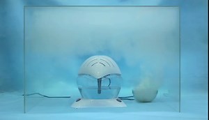 Amazon.com: EcoGecko Color Wheel Air Cleaner, Humidifier, Revitalizer with 12 LED 7 Color lights- Plus Lavender, Orange Peel, Cinnamon and Eucalyptus, 30ml Each : Home & Kitchen