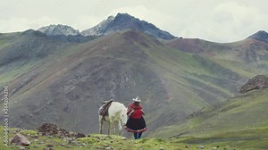 Woman pulling mule on a countryside trail, returning home after a labor day. Slow motion
