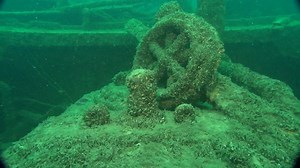 B-Roll: Invasive Zebra Mussels on Shipwrecks in Great Lakes - B-Roll: Shellfish & Other Invertebrates - NOAA Fisheries Video Gallery