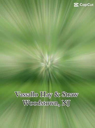 Arriving just in time for the weekend is this Canadian Timothy Grass Mix for $10.50 a bale! The rain is moving out so be sure to stop by the farm or give us a call to schedule a pickup or delivery! Ron (856)297-9822 Josh (856)777-2964 Office (856)839-8200 #fathersonfarming #southjerseyfarmer #timothyhay #hayfarmer #haydelivery #salemcountynj | Vassallo Hay & Straw