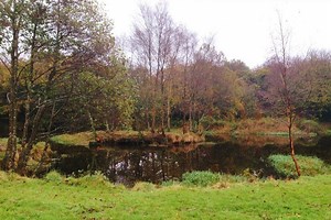 Betcio - Güncel Giriş | Betcio Mobil Erişim | 2025 Link