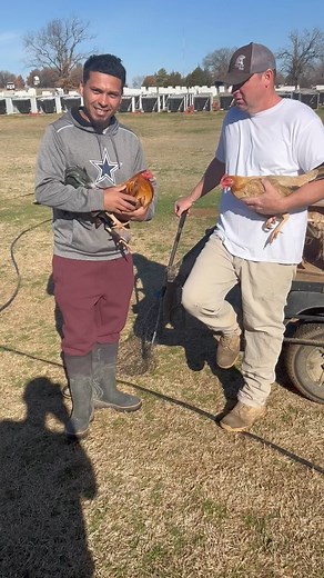 26K views · 809 reactions | Troy Farm the best | Troy Thompson gamefarm | Facebook