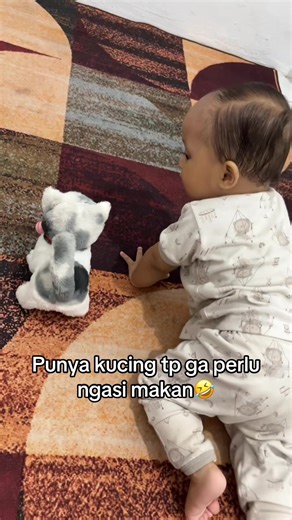 Mainan Kucing yang Menghibur untuk Bayi
