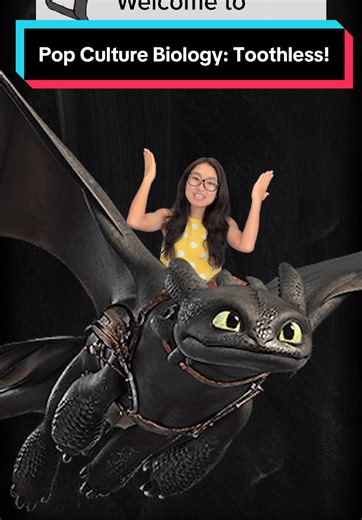 ¡Emocionados por la versión live action de Toothless!