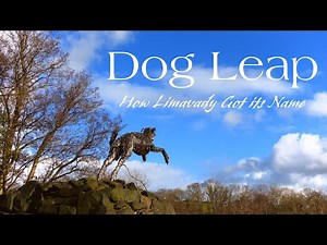 Dog Leap: How Limavady Got Its Name (Irish Myths & Legends)
