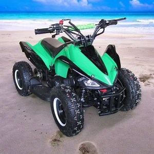 Patoys | 49cc, Single Cylinder, Air Cooled, 2 Stroke Petrol Atv Bike