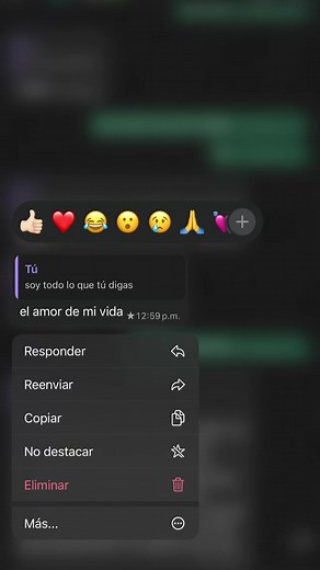 Dicen que donde uno fue feliz vuelve a virar — el amor de su vida