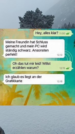 Computer Issues Discussion in a Snowy Landscape