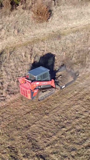 Effective Techniques for Pasture Cleanup
