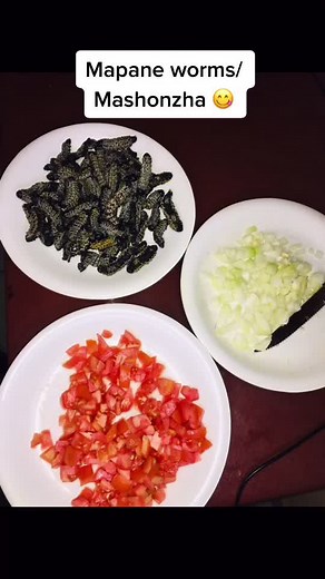 Delicious Mopane Worms Recipe | Traditional South African Dish