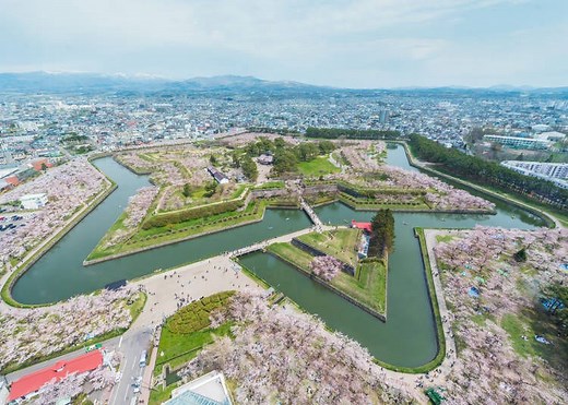 Missed Sakura in Tokyo? Hokkaido's Cherry Blossoms Bloom Later (Here’s Where to Go in 2026) | LIVE JAPAN travel guide