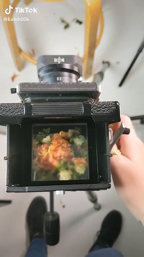 Exploring Medium Format Photography with Mamiya C330