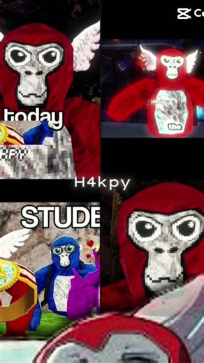 Best gorilla tag player next to TTTPIG @h4kpy