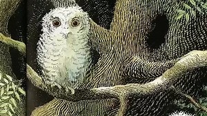 Play School - Play Schools Storytime Giggle and Hoot ( Owl Babies With Hoot and Jimmy Giggle