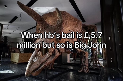 Understanding Triceratops and Their Paleontological Significance