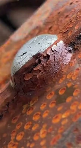 EXTREME Rust Removal ASMR 🔥 Deep Cleaning That Feels Unreal (So Satisfying)