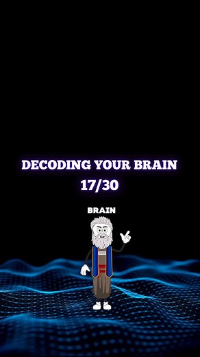 Library of Alexandria - Online Education on Instagram: "Decoding the Human Brain 17/30 Check out the Link in my Bio for more 🔗 #libraryofalexandria #psychology #humannature #psychologyexplained #neuroscience"