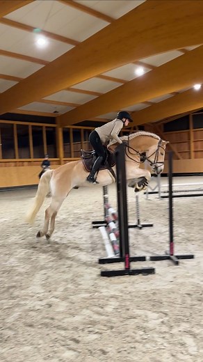 Baldi springt 🚀🥳 und das sogar ziemlich gut ! . In ihm schlummert eigentlich auch ein kleiner Springhafi. Nach der ganzen Krankheitsgeschichte von Sammy habe ich mir geschworen mit den Hafis nicht mehr in den Springsport zu gehen, auch wenn Sammy’s Arthrose nicht unbedingt vom Springen kommt. Baldi hat echt viel Spaß an der Sache und ich werde es jetzt in die Winterarbeit häufiger mit einbauen 🥳🙌🏻. . #pferd #haflinger #springpferd #springhafi #sporthafi #showjumping | Anja Fee