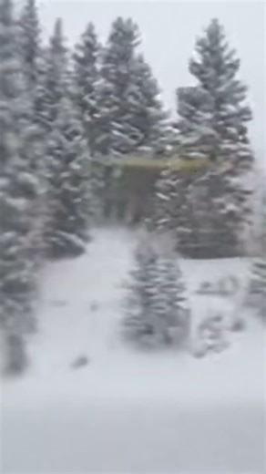 Snowy Train Window Ride 🚆❄️ | Cozy Winter Ambience (Full Video Out Now!)