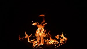 Download Fire torch burning blast explosions'  jungle fire campfire, for free