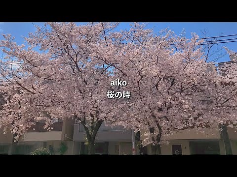 aiko/桜の時【歌詞付き】