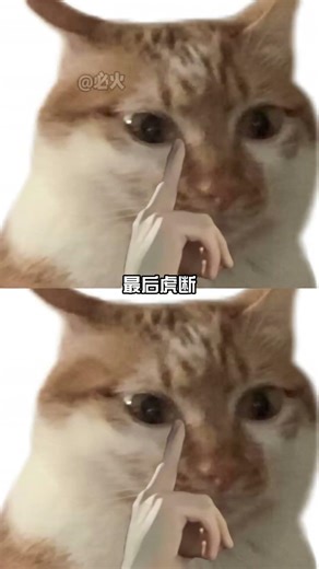 我始终相信一个成语：穷寇莫追#哈基蜂#威龙#跑刀#三角洲s8赛季 #三角洲行动 游戏 射击游戏