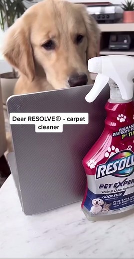 #ad Use Resolve®️ Pet Expert stain remover to spend less time cleaning, and more time cuddling! #lovetheloveresolvethemess
