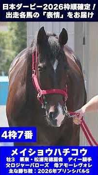 【日本ダービー2026枠順確定】出走各馬の「表情」をお届け！