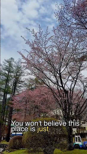 Nikko is proof that Japan feels magical even beyond Tokyo 🇯🇵 #japan #nikko #travel #japantravel