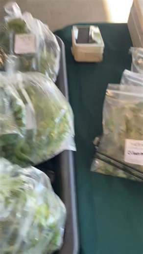 Coastal Alabama Farmers and Fishermens Market; Visit Foley Alabama; | Feast & Co.