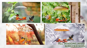 Kingsyard Oriole Bird Feeder for Outside With Big Dome Orange Fruit, Jelly, Mealworm,Nectar