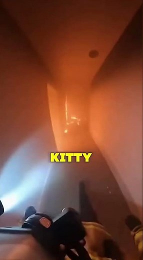 Firefighter Saves Cat From A Burning House!