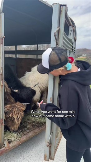 First Day with Our New Bunnies at The Bunny Ranch