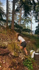 68K views · 1.7K reactions | Stripping willow to make white willow 懶...