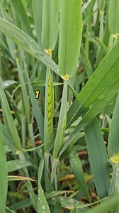 63K views · 609 reactions | România Mea De Vis on Reels | Facebook