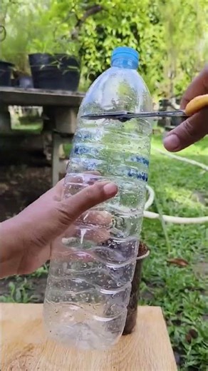 DIY Self-Watering Planter from a 2-Liter Bottle 🌱 Easy Recycling Idea