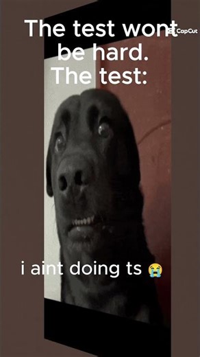 The school test is like #funny #funnyshorts #memes #schoolmemes