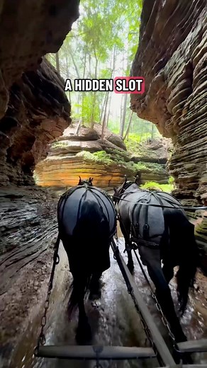There’s so much more to Wisconsin Dells than just waterparks👇🏼 Just 2 hours from Milwaukee and 3 hours from Chicago you’ll find Wisconsin Dells along with all its charm and lakeside magic. Here’s how to spend a weekend exploring hidden gems, outdoor adventures, and more: Day 1 – Friday ✨ Arrive Friday evening and kick things off with a unique night walk through illuminated forests at Aquavia Lumina Day 2 – Saturday 🐴 Take a horse-drawn tour through a secluded slot canyon with Lost Canyon Tour