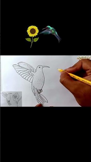 How to draw a hummingbird