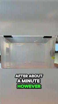 Mice vs. Repellents: Do They Actually Work? Shocking Test!