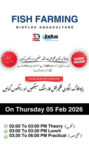 Learn Biofloc Fish Farming & Build a Profitable Future Join our One Day Professional Training Program and master modern biofloc aquaculture techniques 💰 Training Fee: Only Rs. 3,000 🍽️ Lunch & Conveyance Included 🗓️ Program Schedule ⏰ 02:00 – 03:00 PM | Theory Session ⏰ 03:00 – 03:30 PM | Lunch Break ⏰ 03:30 – 06:00 PM | Practical Session Gain hands-on experience and expert guidance to start your own successful biofloc fish farming business. #BioflocTraining #FishFarming #Aquaculture #EarnMor