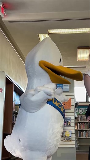 Click, Clack, Quack, Quack! Guess who is stopping by for storytimes? 🦆📖