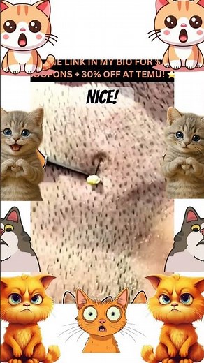 HOLY S#*T