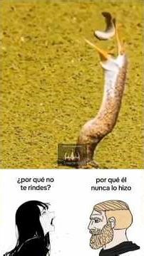 I will not die, no matter if my body is completely destroyed - why don't you give up? Because he -